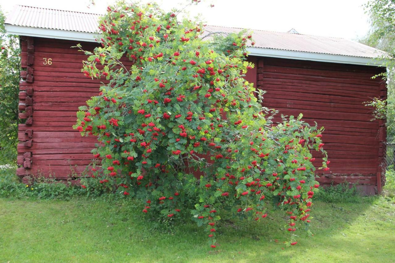 Idyllinen Kaksio Apartment Kankaanpaa Exterior photo